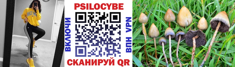 Псилоцибиновые грибы мухоморы  Нижняя Тура 